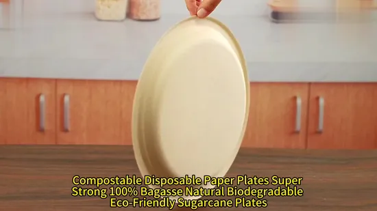 Plates Bagasse Disposable Plates Party Sugarcane Tableware 