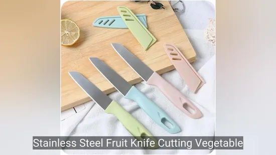 Stainless Steel Fruit Knife Cutting Vegetable Sushi Tool Household Kitchen Knife Cooking Tool 