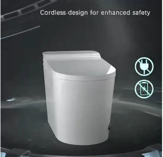 North American Design Styles Luxury Elongated Aromatherapy System Floor Standing Ceramic Glazed Smart Toilets Include Coverseats 