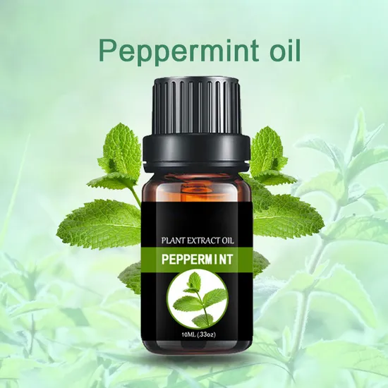 Aromatherapy Essential Oil Manufacturer Peppermint Oil Wholesale Price 